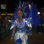 Desfile Luces del Valle 2014