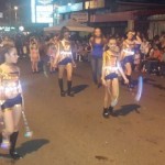 Desfile Luces del Valle 2014