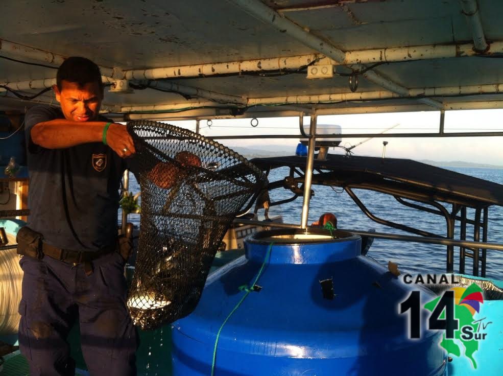 Guardacostas detienen lancha pesquera con carnada viva en Golfo Dulce