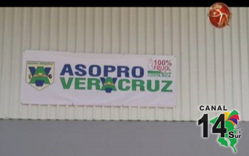 Productores de granos Veracruz de Pejibaye cuentan con planta agro industrial