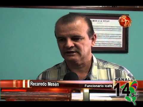 Funcionarios del Icafe atenderán productores una vez a la semana en la UPIAV