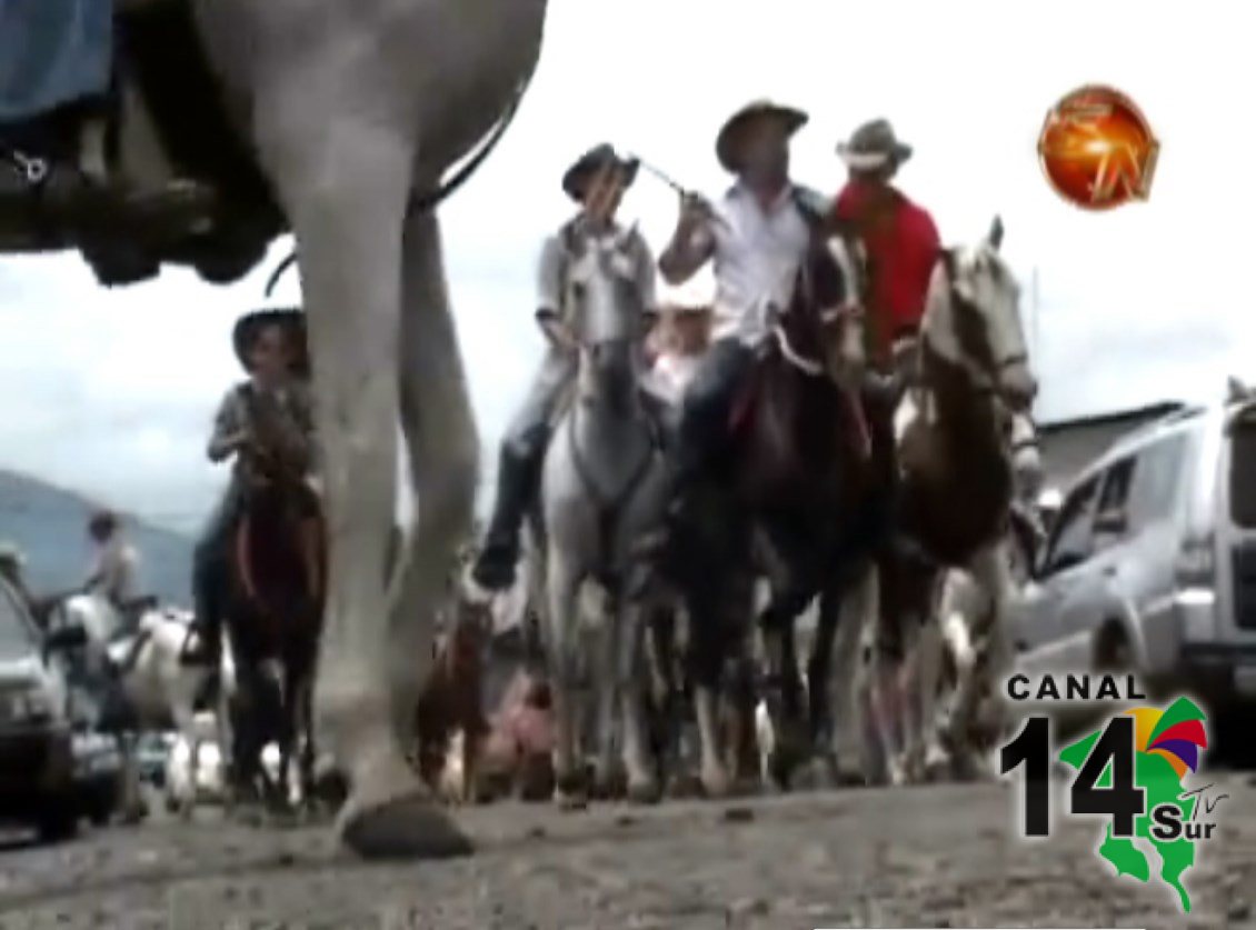 Comisión de Asuntos de la Región Brunca será la dedicada en la cabalgata de Colinas