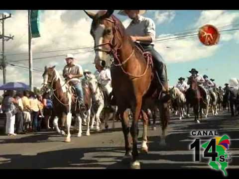 Diferentes razas de caballos y orden abundó en el Tope de la Expo P.Z