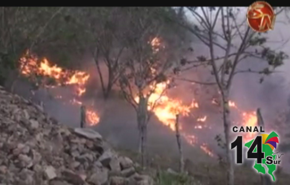 Bomberos controlan cuatro de los cinco incendios forestales en Buenos Aires