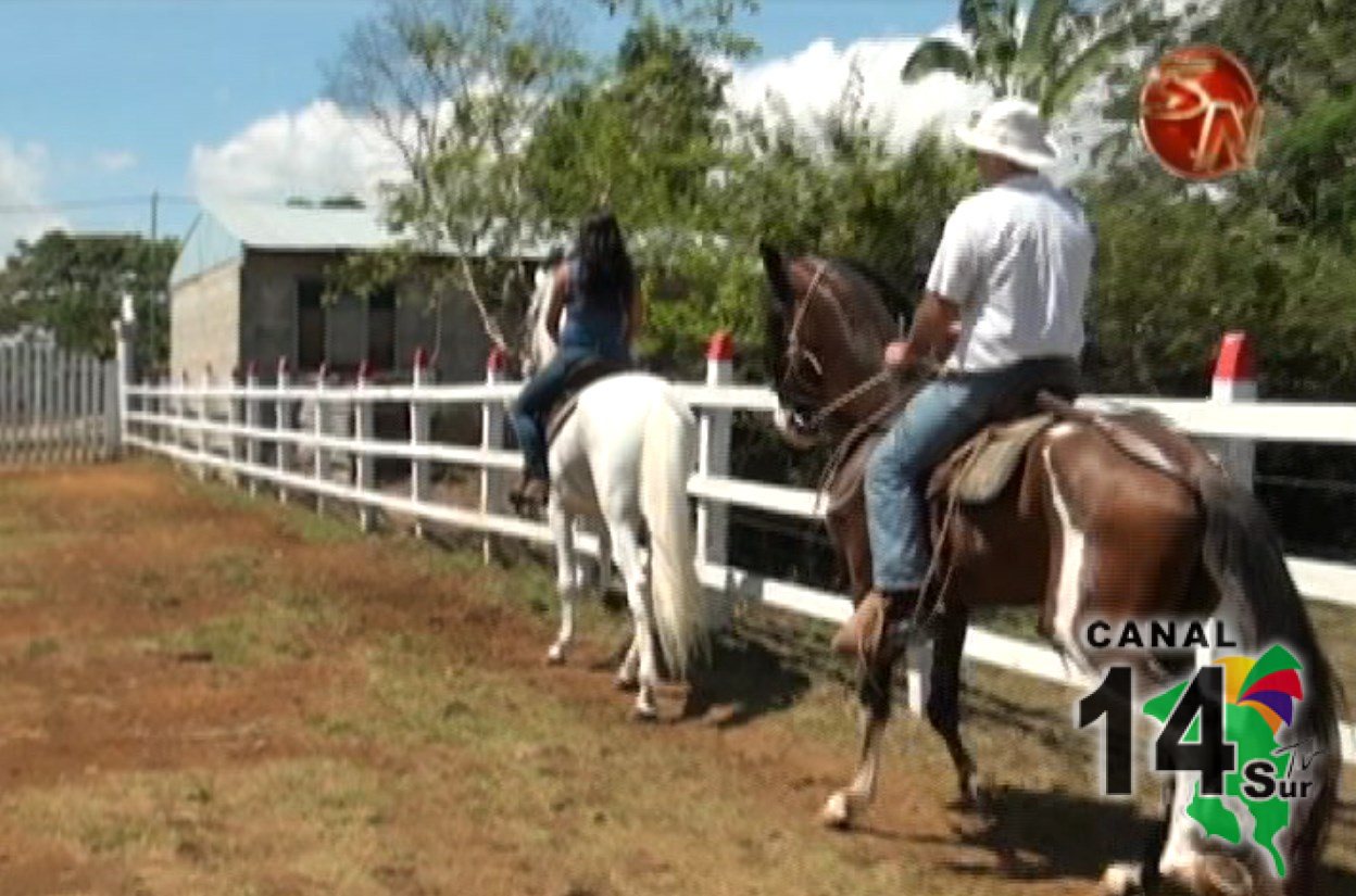 Aprenda a montar y a disfrutar su caballo por medio de clases de equitación