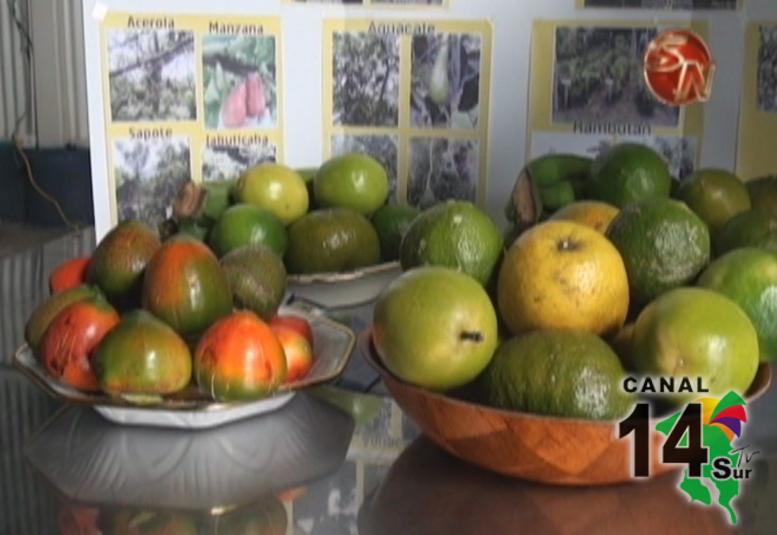 Productores generaleños expondrán y venderán sus productos mañana