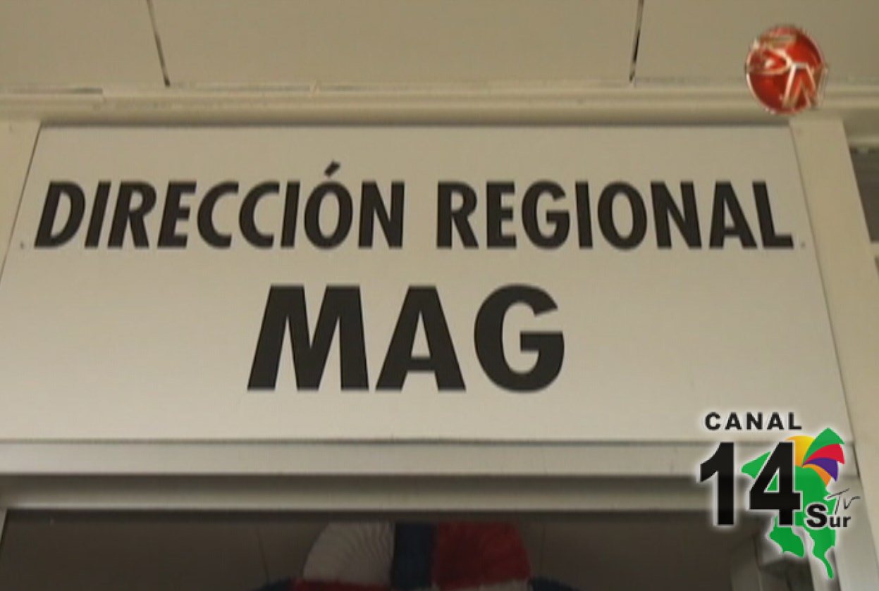 20 organizaciones agrícolas de la Región Brunca recibirán la Bandera Azul