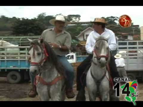 Mejor asistencia y mucha música tendrán los caballistas en el Tope de los Festejos Patronales