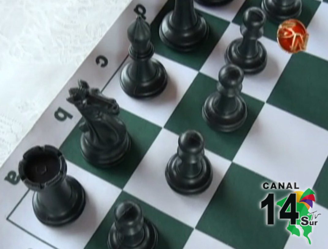 ajedrez_130215