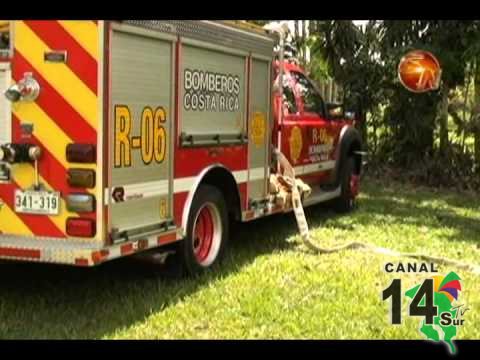 En lo que va de año bomberos en Pérez Zeledón atendió unas 375 amenazas por abejas africanizadas
