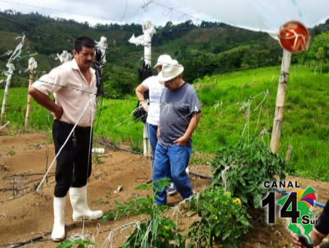 Buscan futuras alianzas para la producción de banano y cacao orgánicos