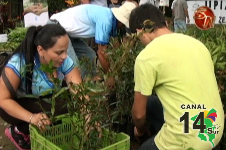 Organizaciones generaleñas recibieron árboles para sembrar agua en sus comunidades