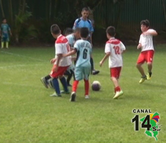 Escuela y Colegio del Valle fue sede del  primer Festival de fútbol siete infantil