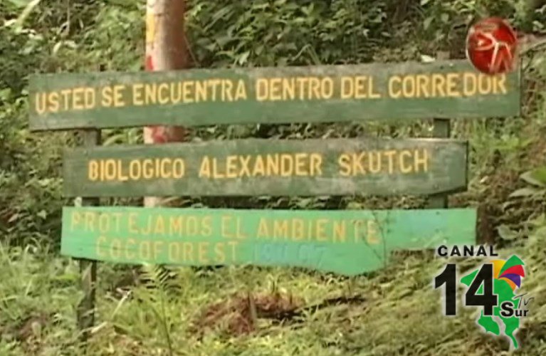Santa Elena tendrá su IX Festival Ambiental
