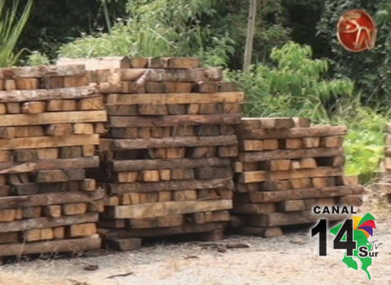 ACLAP decomisa 35 mil pulgadas de madera en lo que va del año