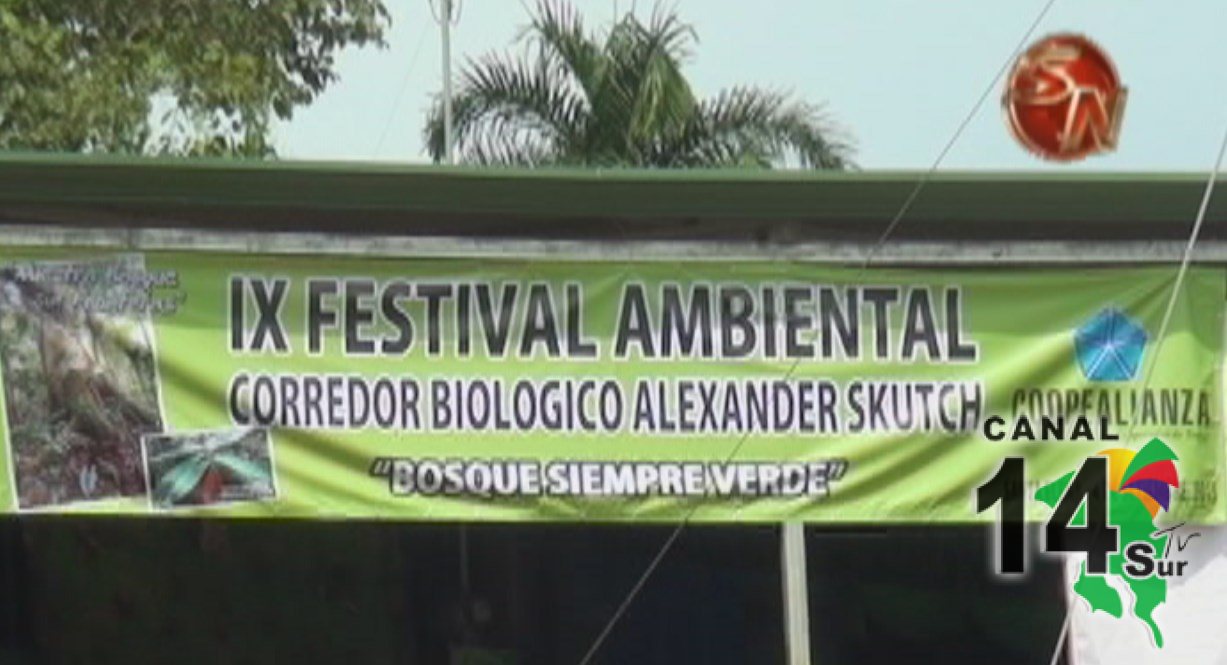 Con variedad de actividades celebran Festival Ambiental en Santa Elena de General