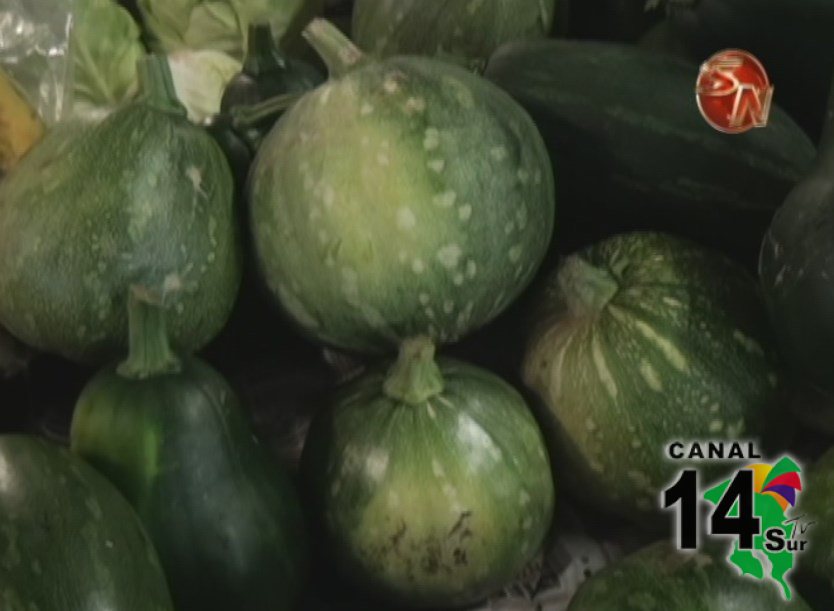 Población prefiere la Feria del Productor Generaleño para comprar verduras y frutas frescas