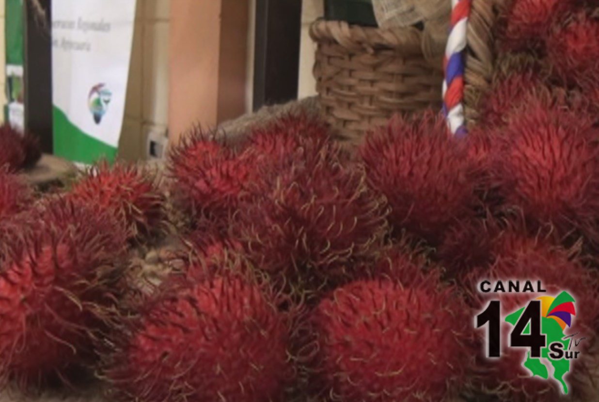 Pueblo Nuevo de Cajón los espera con la I Feria Nacional del Rambután