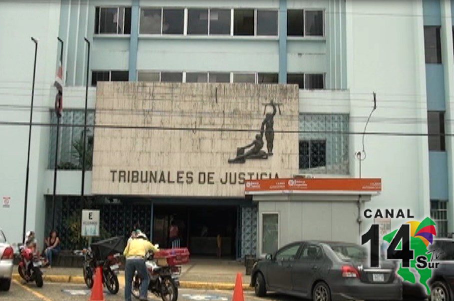 Tres personas se encuentran en un proceso de juicio en los tribunales de Pérez Zeledón por el delito de cultivo de marihuana
