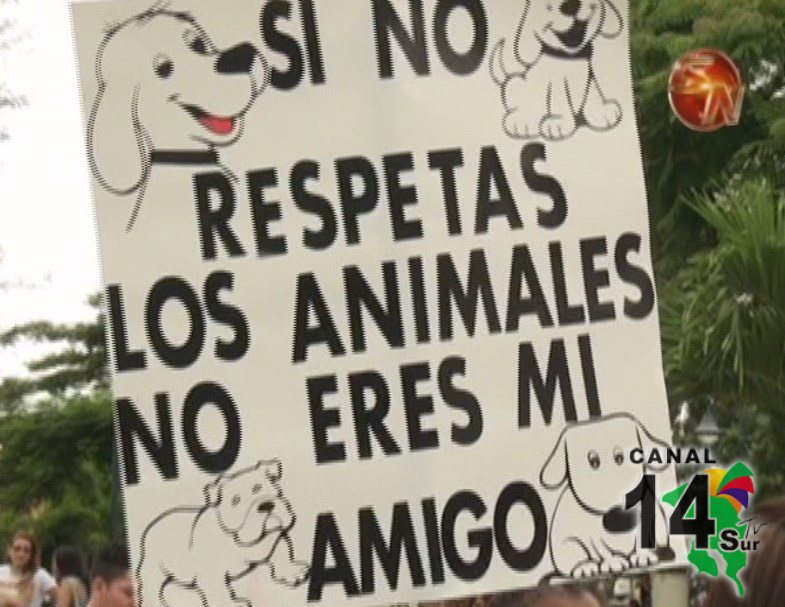 Más de 100 personas marcharon por los animales en San Isidro de El General