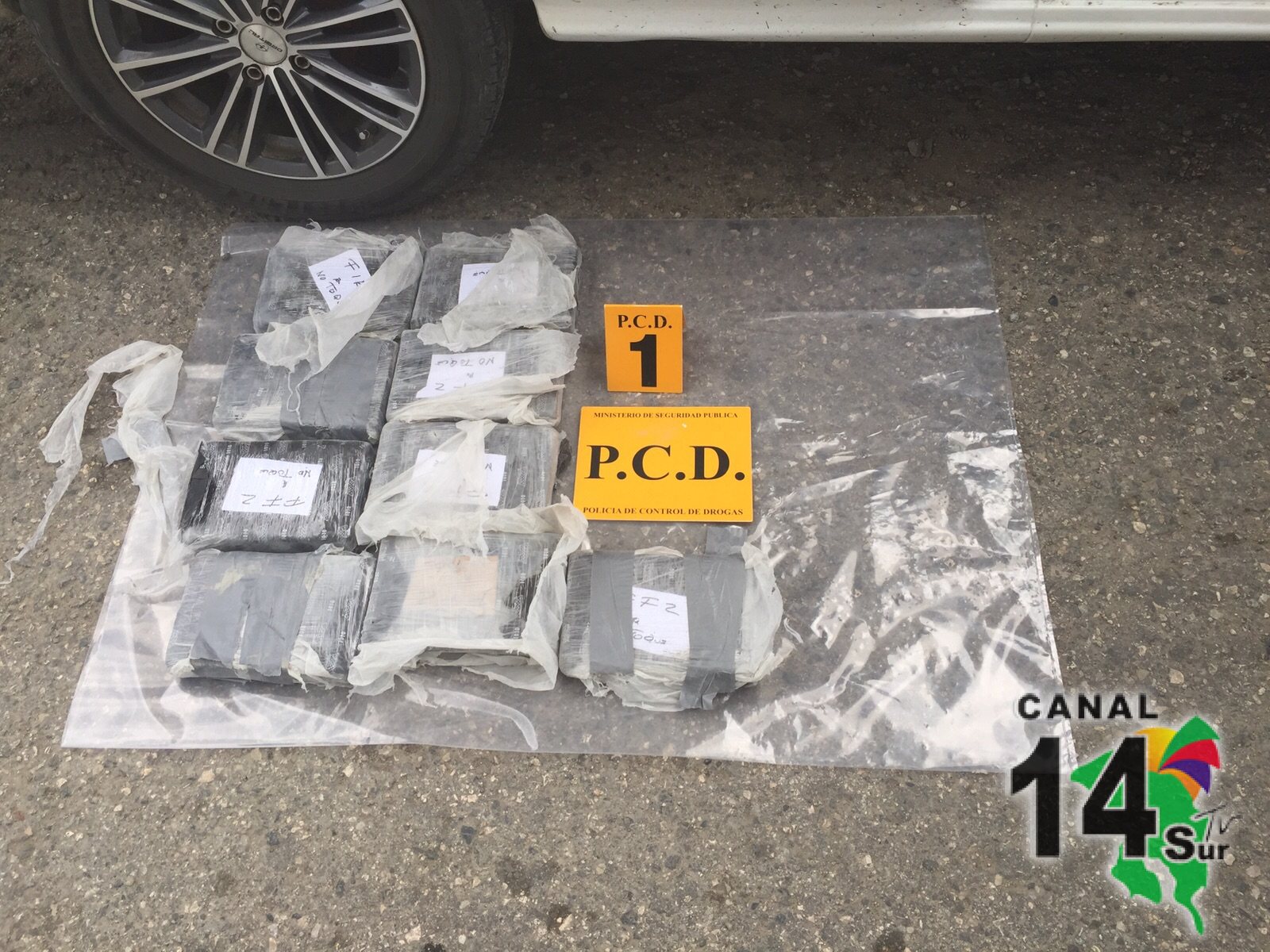 La Policía de Control de Drogas hizo un importante decomiso de cocaína en Golfito
