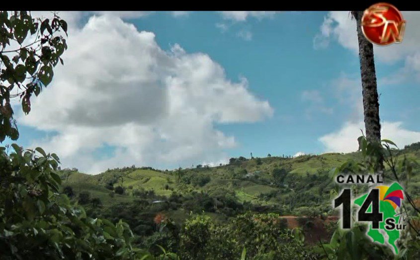 Estudio revela avance de la deforestación en San Vito de Coto Brus