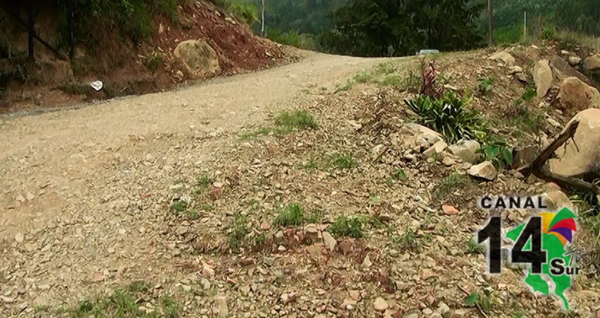 Caminos de Pejibaye siguen recibiendo atención por parte de la Municipalidad 