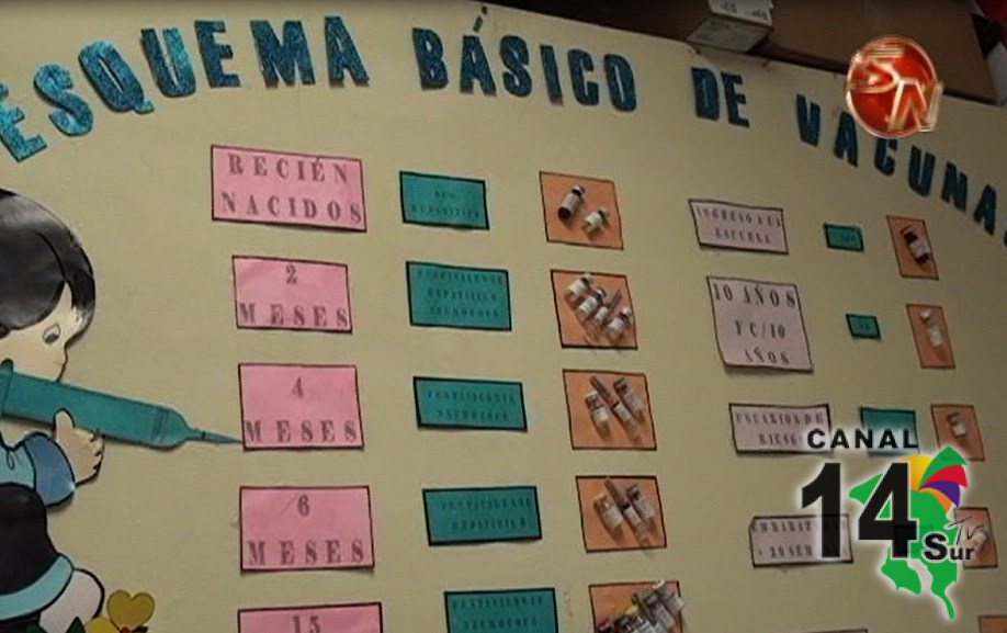 Más del 95% de la población infantil fue vacunada este año