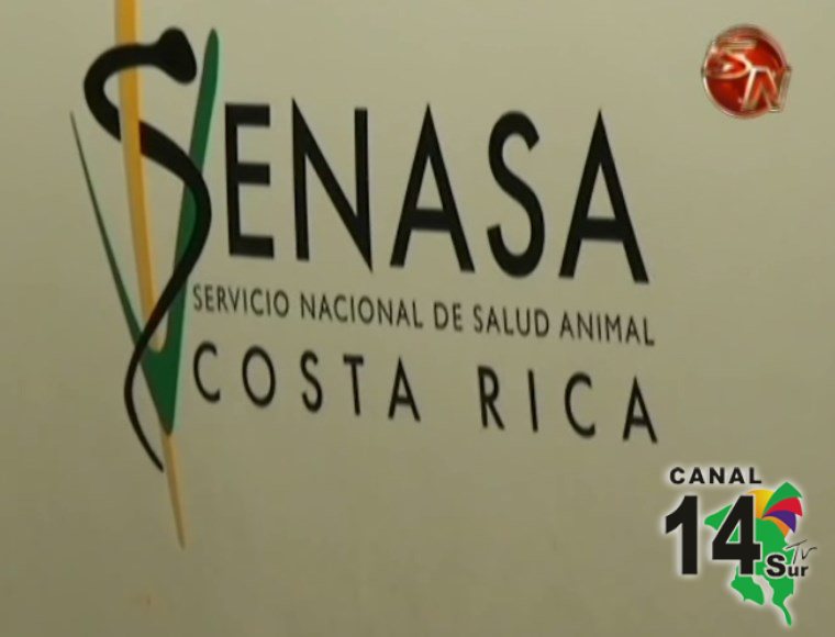 SENASA registra 40 denuncias contra animales en lo que va del año