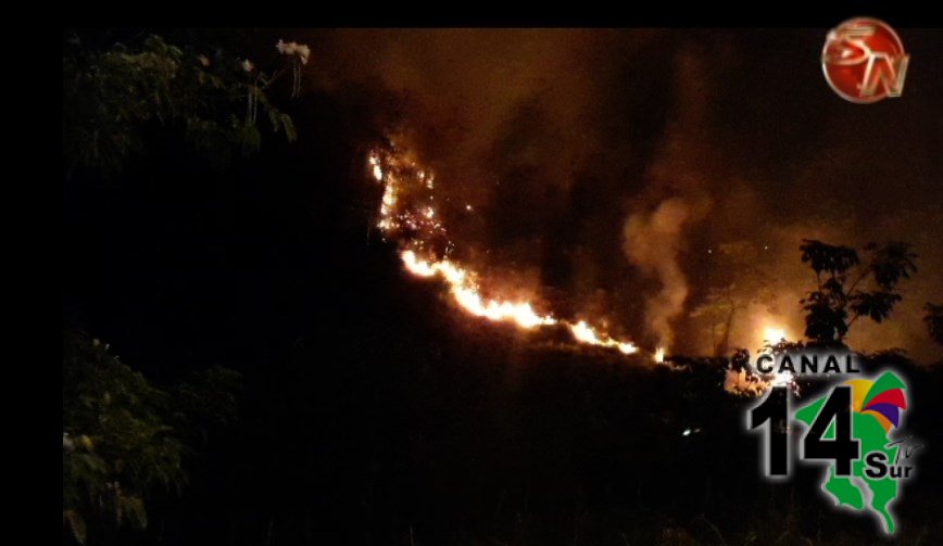 Un incendio consumió 400 metros de terreno en Quepos