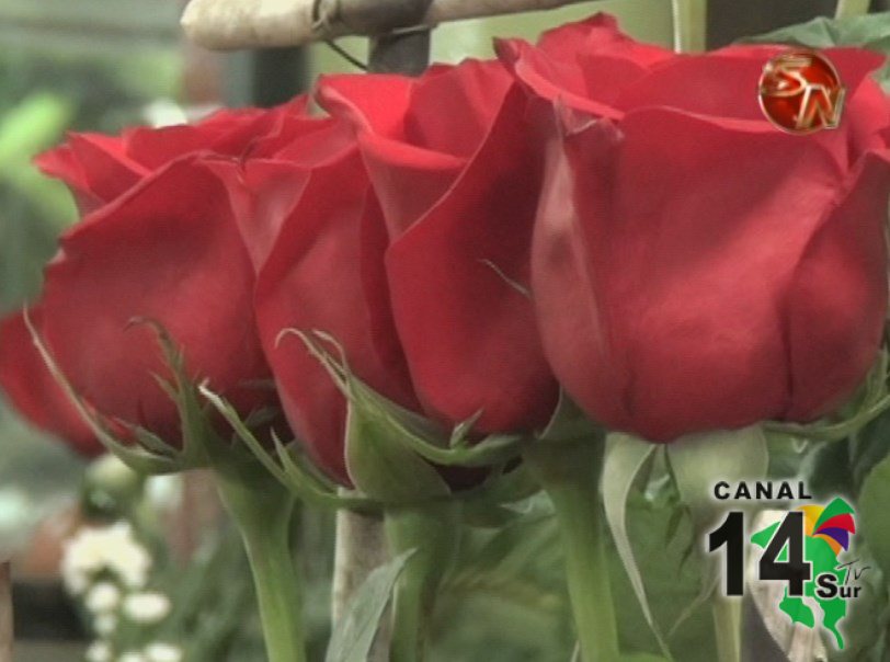 Floristerías ofrecen variedad de artículos para el Día del Amor y la Amistad