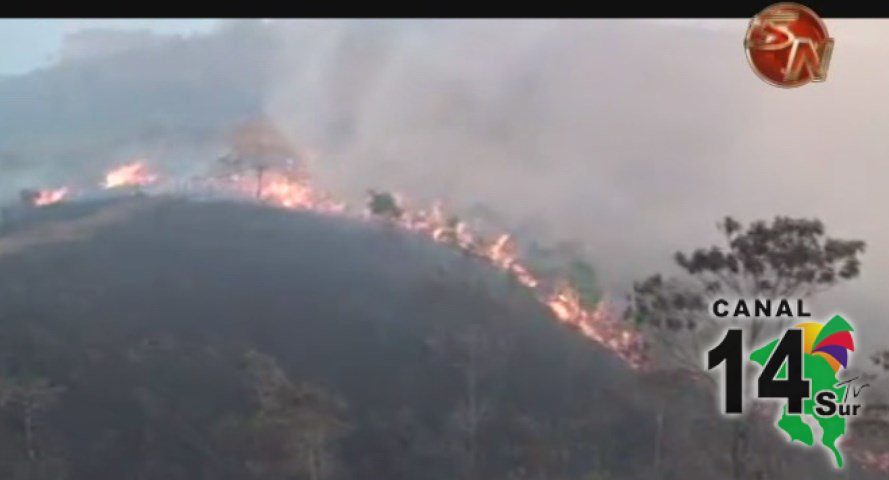 ACLAP hace un llamado a la población para evitar los incendios forestales