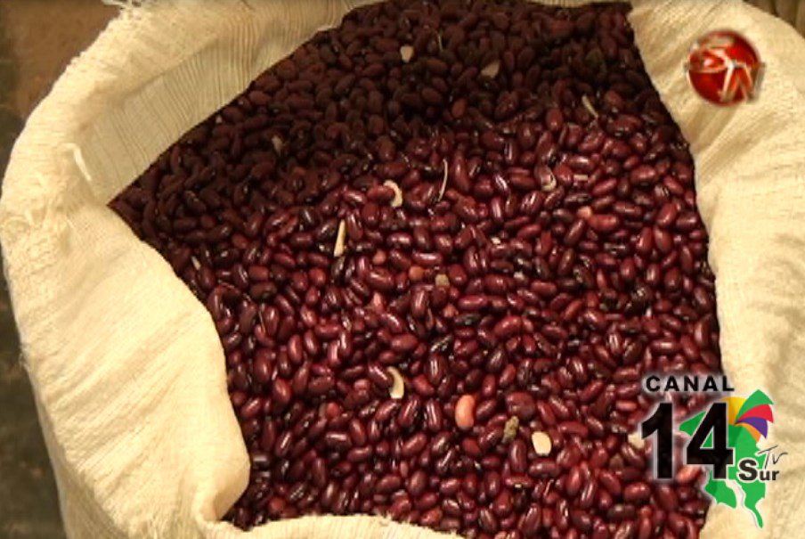 La Maquila Lama comprará frijol a productores nacionales