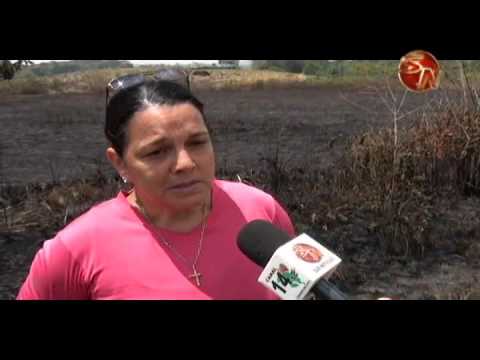 Dueños de finca afectada por quema en El Pilar de Cajón buscarán a responsables de incendio