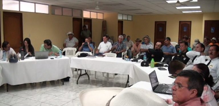 40 denuncias registran en el OIJ por robo de ganado en lo que va este año