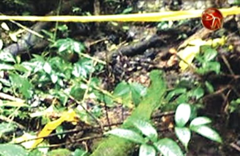 Padres de joven desaparecido identificaron los objetos encontrados cerca de los restos humanos en Corcovado