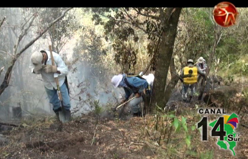 Este Sábado será el festival Ambiental en Herradura de Pérez Zeledón