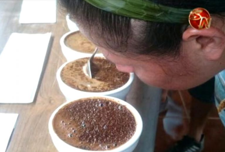 Productores de Boruca aprender sobre las características del café