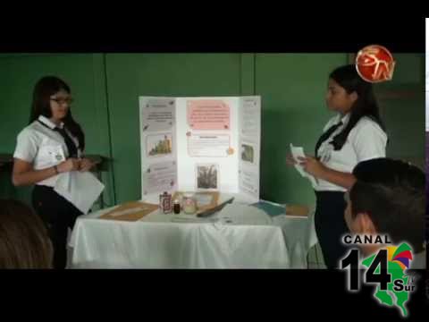 Estudiantes del circuito 01 expusieron sus proyectos en la feria de ciencia