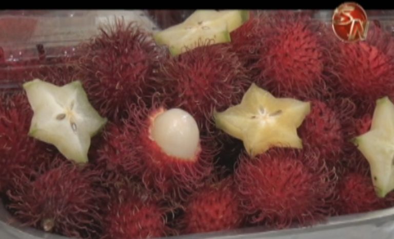 Disfruten de la Feria del Rambután y colabore con la comunidad