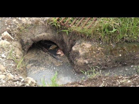 Una alcantarilla en Barrio Rosa Iris preocupa a los vecinos