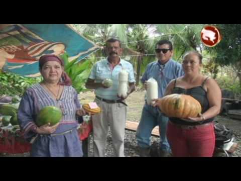 Palmar Sur celebró el Día Internacional de la Mujer Rural