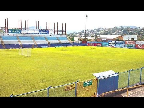 ¿Nueva cancha para el estadio?