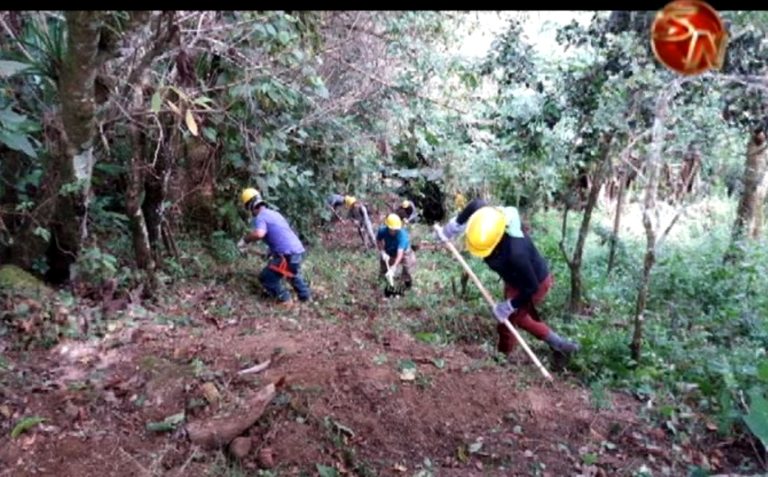 Arrieros reciben capacitación sobre incendios forestales