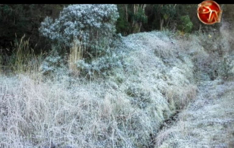 Bajas temperaturas generan hielo en el Cerro de la Muerte
