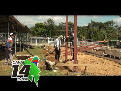 Demuelen y construyen nueva área para el ganado en el campo ferial de Pérez Zeledón