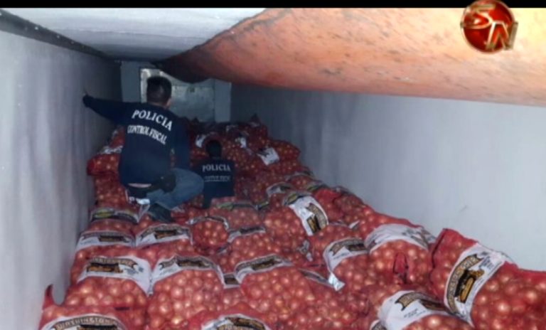 Servicio Fitosanitario destruyó cebollas que ingresaron ilegalmente