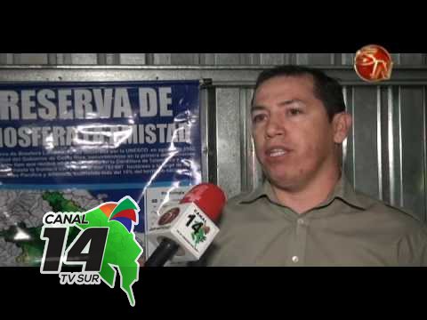 Aclap mantiene constantes controles para atacar el turismo ilegal en el Chirripó