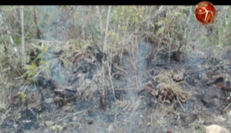 Unos 70 metros cuadrados se quemaron en el Parque Nacional Chirripó