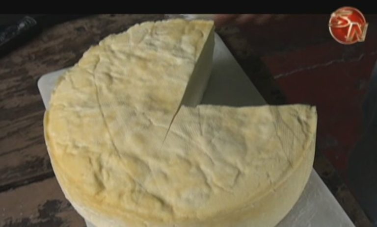 44 queseras artesanales de Pérez Zeledón recibirán inversión de ₡120 millones